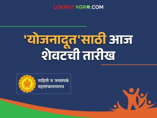 Mukhyamantri Yojana Doot : Today is the last date to apply for Mukhyamantri Yojana Doot initiative | Mukhyamantri Yojana Doot : मुख्यमंत्री योजनादूत उपक्रमासाठी अर्ज करण्याची आज शेवटची तारीख