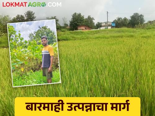 Adoption of farmer-to-consumer sales technique by young farmer baliram who income through out year from agriculture | शेतकरी ते ग्राहक विक्री तंत्राचा अवलंब करत बारमाही शेतीतून उत्पन्न घेणारा युवा शेतकरी बळीराम