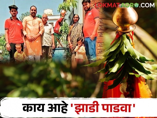Farmer's New idea; Celebrated Padwa in different style with mango tree | शेतकऱ्याचा नवीन उपक्रम; पाडवा साजरा केला हटके स्टायलने