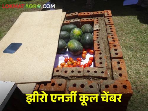 A simple method of setting up a Zero Energy Freezer for storing fruits and vegetables at home | घरच्या घरी फळे आणि भाजीपाला साठवण्यासाठी शून्य उर्जेवर आधारित शितकक्ष उभारण्याची सोपी पद्धत