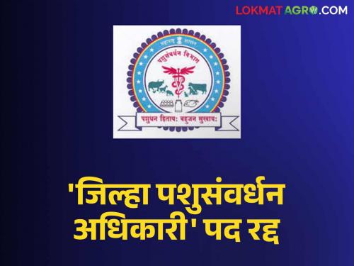 This post of related to animal husbandry in the Zilla Parishad has been abolished; now the charge is with the Deputy Commissioner of Animal Husbandry | जिल्हा परिषदेकडील पशुसंवर्धनशी निगडीत 'हे' पद रद्द; आता कार्यभार पशुसंवर्धन उपायुक्तांकडे