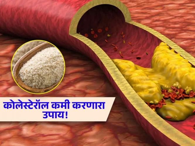 वाढलेलं कोलेस्टेरॉल लवकर कमी करणारे ४ सुपरफूड! रोज खा- कोलेस्टेरॉल नेहमीच राहील कंट्रोलमध्ये वाढलेलं कोलेस्टेरॉल लवकर कमी करणारे ४ सुपरफूड! रोज खा- कोलेस्टेरॉल नेहमीच राहील कंट्रोलमध्ये