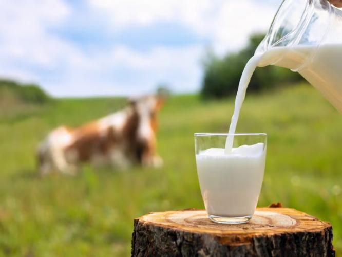 World Milk Day : दूध म्हणजे पूर्णान्न, पाहा दुधाचे ५ पदार्थ - लहानमोठ्या सर्वांना आवडतील World Milk Day : दूध म्हणजे पूर्णान्न, पाहा दुधाचे ५ पदार्थ - लहानमोठ्या सर्वांना आवडतील