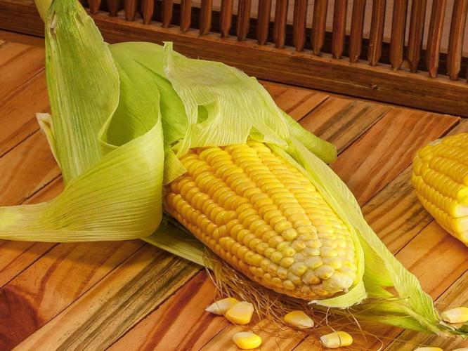 पावसाळ्यात भाजलेल्या कणसासोबत हे पदार्थही खा, पाहा मक्याचे स्वादिष्ट पदार्थ पावसाळ्यात भाजलेल्या कणसासोबत हे पदार्थही खा, पाहा मक्याचे स्वादिष्ट पदार्थ