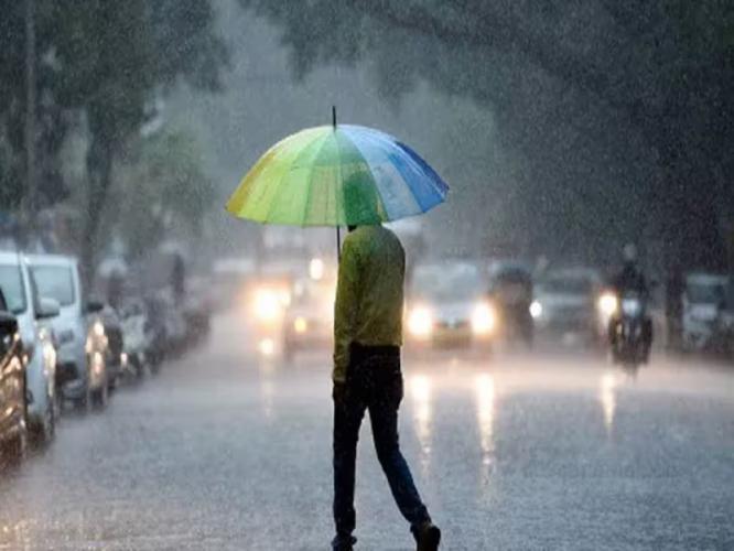 पावसाळ्यात अजिबात खाऊ नका हे '५' पदार्थ, पचन बिघडेल-पोट दुखेल-होतील जुलाब पावसाळ्यात अजिबात खाऊ नका हे '५' पदार्थ, पचन बिघडेल-पोट दुखेल-होतील जुलाब