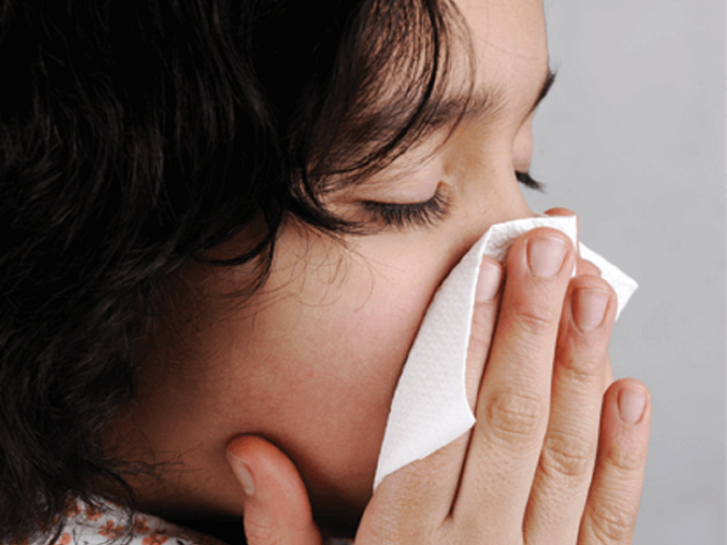 हिवाळ्यातलं स्वस्तात मस्त टॉनिक म्हणजे 'ही' ५ फळं, सततची आजारपणं टळून सौंदर्यही खुलेल..