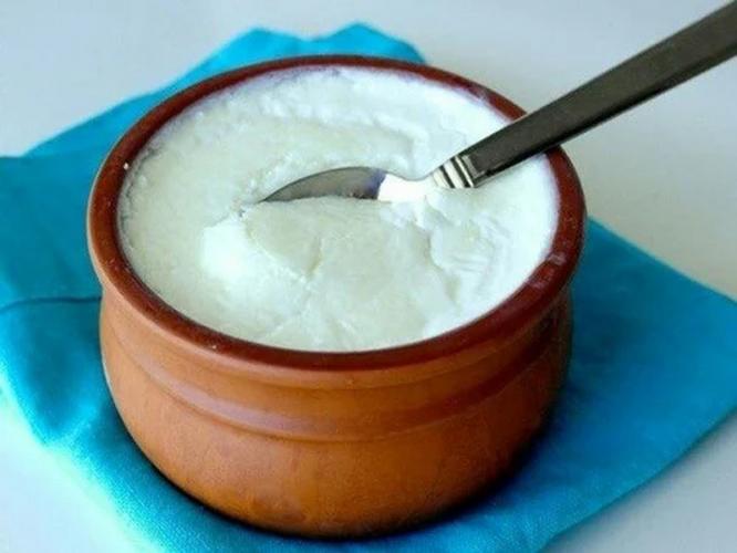 कपभर दह्याचे ५ मिनिटांत होणारे ५ पदार्थ पाहा- एक खास रेसिपी , चविष्ट आणि पौष्टिक कपभर दह्याचे ५ मिनिटांत होणारे ५ पदार्थ पाहा- एक खास रेसिपी , चविष्ट आणि पौष्टिक