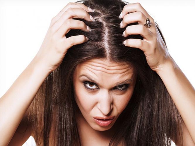 पावसाळ्यात केसांमध्ये कोंडा झाला? ४ टिप्स, केस गळती थांबेल, स्काल्पमधील कोंडा-पुळ्या दूर पावसाळ्यात केसांमध्ये कोंडा झाला? ४ टिप्स, केस गळती थांबेल, स्काल्पमधील कोंडा-पुळ्या दूर