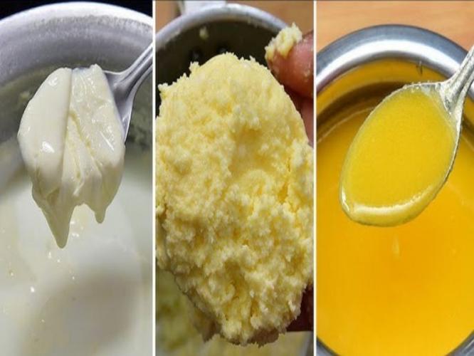 साजूक तुपासाठी साठवलेल्या सायीला येते दुर्गंधी? सायीत मिसळा ८ पदार्थ - कुबट वास होईल कमी...