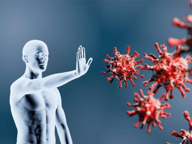 कॅन्सर वाढण्यापासून रोखतात रोजच्या जेवणातले ७ पदार्थ; ताटात असायलाच हवेत कॅन्सर वाढण्यापासून रोखतात रोजच्या जेवणातले ७ पदार्थ; ताटात असायलाच हवेत