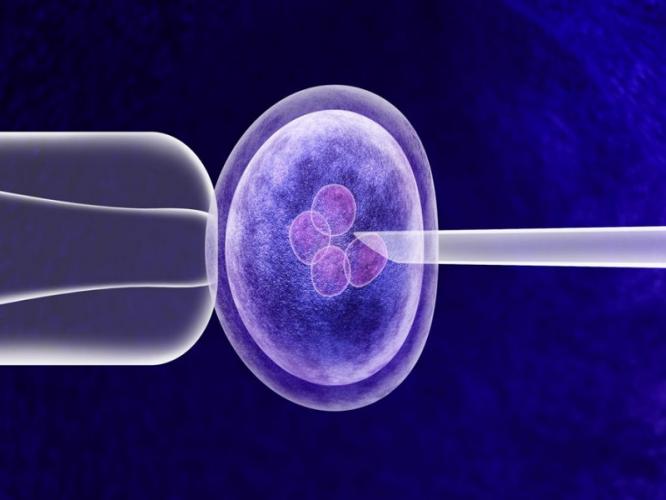 IVF: पालकत्वाची आस असलेल्या अनेक सेलिब्रिटींनीही स्वीकारला आयव्हीएफचा पर्याय, प्रवास सोपा नव्हता पण.. IVF: पालकत्वाची आस असलेल्या अनेक सेलिब्रिटींनीही स्वीकारला आयव्हीएफचा पर्याय, प्रवास सोपा नव्हता पण..