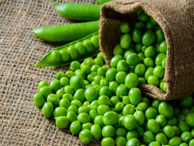 Winter Special food: ताज्या मटारचे ६ पदार्थ, नावं वाचून तोंडाला पाणी सुटेल इतके चमचमीत