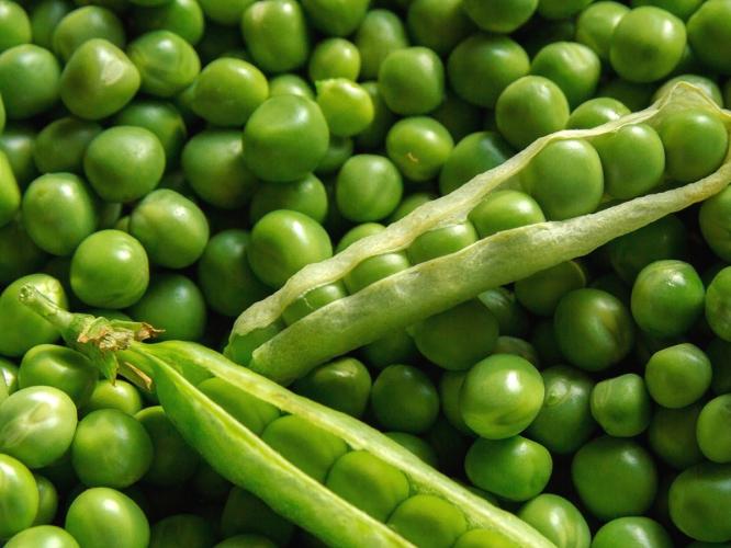 अभिनेत्री भाग्यश्री सांगते हिवाळ्यात मटार खाण्याचे ४ फायदे आणि मटारच्या भाजीची ५ मिनिटांत होणारी रेसिपी