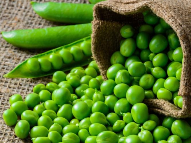 Food Tips: वाटाण्याच्या टरफलांचा उपयोग करून तुम्ही पैशांची बचत करू शकता; कशी ते पाहा! Food Tips: वाटाण्याच्या टरफलांचा उपयोग करून तुम्ही पैशांची बचत करू शकता; कशी ते पाहा!