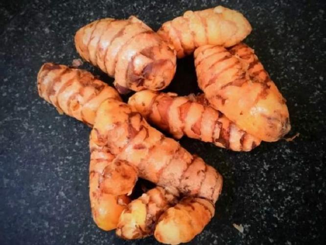 ओल्या हळदीचं ५ मिनिटांत होणारं चटपटीत पौष्टिक लोणचं! पचन चांगलं होऊन रोगप्रतिकारक शक्ती वाढेल ओल्या हळदीचं ५ मिनिटांत होणारं चटपटीत पौष्टिक लोणचं! पचन चांगलं होऊन रोगप्रतिकारक शक्ती वाढेल