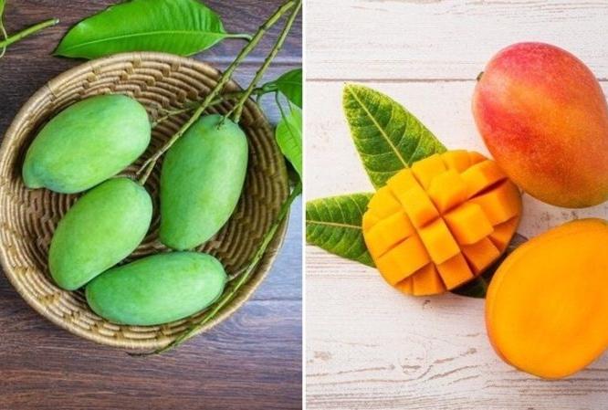घरच्याघरी 'असे ' छान पिकतील रसाळ आंबे, केमिकलची गरज नाही - पारंपरिक सोपी पद्धत घरच्याघरी 'असे ' छान पिकतील रसाळ आंबे, केमिकलची गरज नाही - पारंपरिक सोपी पद्धत