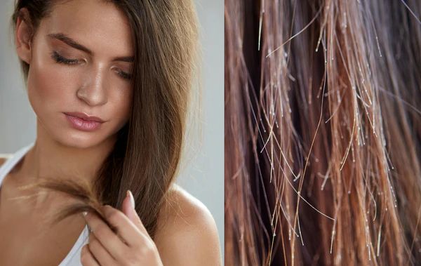 केस वाढत नाहीत? साऊथ इंडियन तरुणींचा सिक्रेट फॉर्म्युला वापरा; ५ घरगुती हेअर मास्क, फाटे फुटलेले केस गायब केस वाढत नाहीत? साऊथ इंडियन तरुणींचा सिक्रेट फॉर्म्युला वापरा; ५ घरगुती हेअर मास्क, फाटे फुटलेले केस गायब