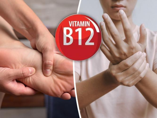 'ही' लक्षणं दिसताच शरीरातलं Vitamin B12 तातडीने वाढवायला हवं! तब्येत बिघडण्याआधीच सावध व्हा.. 'ही' लक्षणं दिसताच शरीरातलं Vitamin B12 तातडीने वाढवायला हवं! तब्येत बिघडण्याआधीच सावध व्हा..