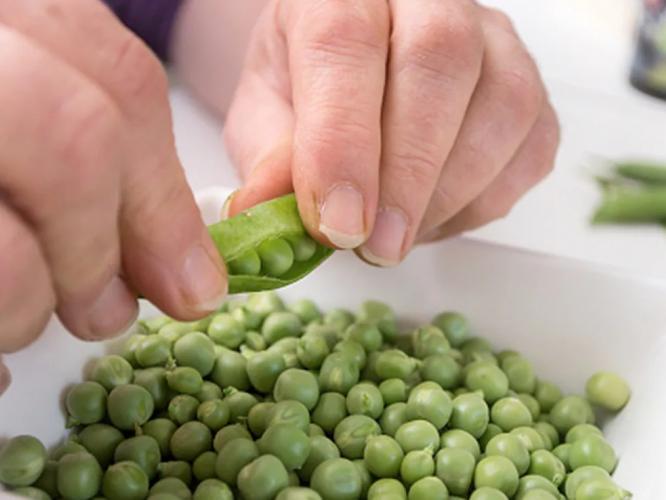 मटार सोलायचं किचकट काम होईल सोपं; ७ ट्रिक्स, झटपट सोलून होतील २ किलोभर मटार मटार सोलायचं किचकट काम होईल सोपं; ७ ट्रिक्स, झटपट सोलून होतील २ किलोभर मटार