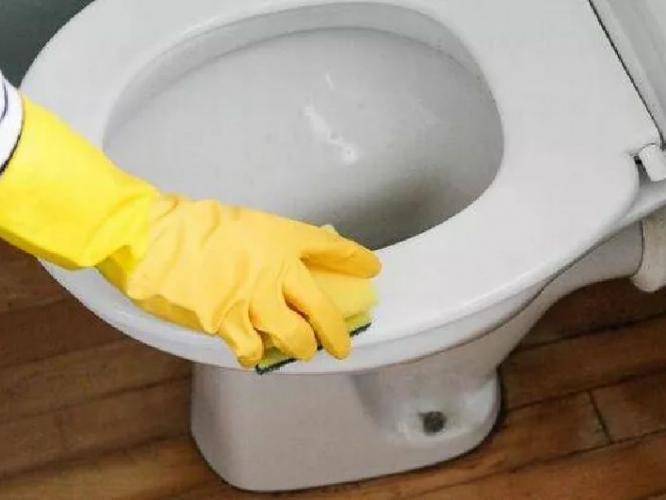 घरातल्या टॉयलेट सीटवर काळे- पिवळे डाग पडले? चमचाभर कॉफी पावडर करेल कमाल- खसाखसा न घासताही टॉयलेट सीट चमकेल घरातल्या टॉयलेट सीटवर काळे- पिवळे डाग पडले? चमचाभर कॉफी पावडर करेल कमाल- खसाखसा न घासताही टॉयलेट सीट चमकेल