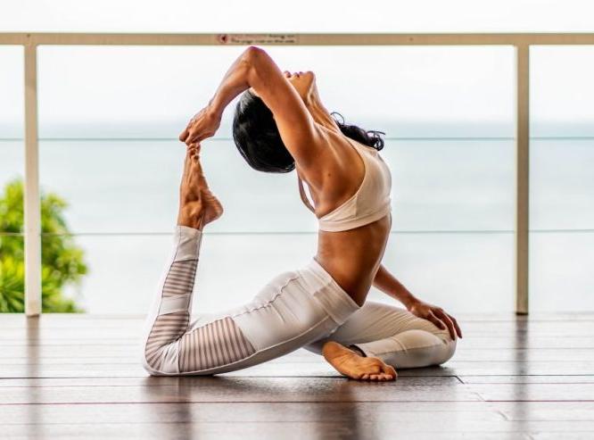 International Yoga Day 2025: शिल्पा शेट्टी ते आलिया भट, ६ अभिनेत्रींचं योगामुळे जगणंच बदललं कायमचं International Yoga Day 2025: शिल्पा शेट्टी ते आलिया भट, ६ अभिनेत्रींचं योगामुळे जगणंच बदललं कायमचं