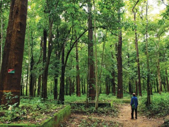 Transfers of senior officers in the Forest Department | वन विभागातील वरिष्ठ अधिकाऱ्यांच्या बदल्या Transfers of senior officers in the Forest Department | वन विभागातील वरिष्ठ अधिकाऱ्यांच्या बदल्या