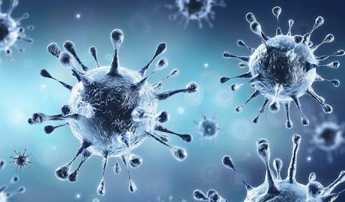 Corona virus : 340 new corona affected patient increased in the pune district on Wednesday, 11 people died | Corona virus : पुणे जिल्ह्यात बुधवारी दिवसभरात ३४० नवीन कोरोनाबधित, ११ जणांचा मृत्यू Corona virus : 340 new corona affected patient increased in the pune district on Wednesday, 11 people died | Corona virus : पुणे जिल्ह्यात बुधवारी दिवसभरात ३४० नवीन कोरोनाबधित, ११ जणांचा मृत्यू