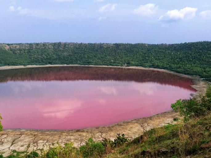 Lonar water turned pink due to Haloarcia microorganism | ... म्हणून लोणारचे पाणी झाले गुलाबी, रिसर्च संस्थेचा अहवाला आला Lonar water turned pink due to Haloarcia microorganism | ... म्हणून लोणारचे पाणी झाले गुलाबी, रिसर्च संस्थेचा अहवाला आला