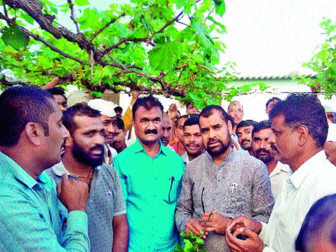 If onions are not affordable, do not eat! : Evergreen khut | कांदा परवडत नसेल तर खाऊ नका! : सदाभाऊ खोत If onions are not affordable, do not eat! : Evergreen khut | कांदा परवडत नसेल तर खाऊ नका! : सदाभाऊ खोत