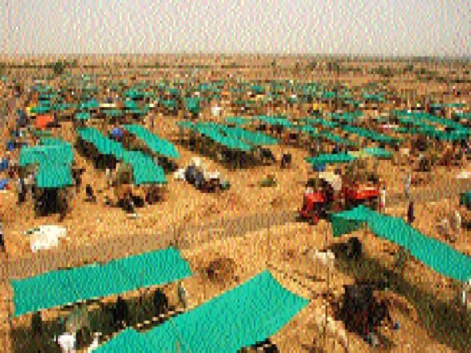 Only 25 proposals out of 8 in the camp | छावणीच्या ८९ पैकी फक्त २५ प्रस्तावांना संमती Only 25 proposals out of 8 in the camp | छावणीच्या ८९ पैकी फक्त २५ प्रस्तावांना संमती