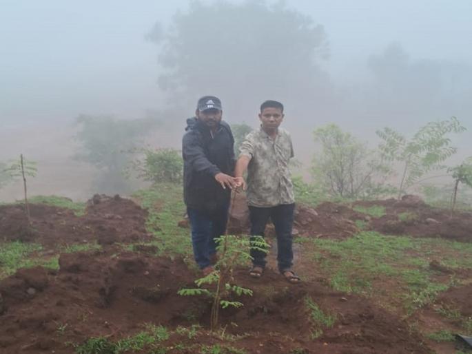 During the widening of the Kolhapur to Gaganbawda road, 1400 trees were cut down and only 500 were planted | Kolhapur: कळे रस्त्यावर तोडली झाडे चौदाशे, साडेपाच हजारपैकी लावली फक्त पाचशे