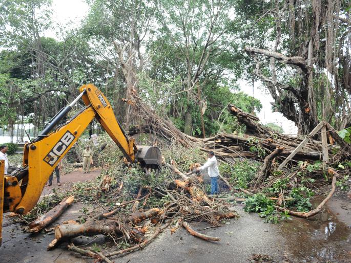 During the removal of encroachment, police interference: deleted six cabines | अतिक्रमण काढताना हमरीतुमरी, पोलिसांचा हस्तक्षेप : सहा केबिन हटविल्या