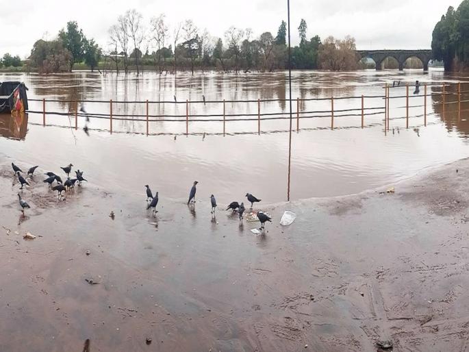 Floods in Kolhapur recede; 23 dams still under water | कोल्हापुरातील पूर ओसरला; अद्याप २३ बंधारे पाण्याखाली, पडझडीत लाखांचे नुकसान Floods in Kolhapur recede; 23 dams still under water | कोल्हापुरातील पूर ओसरला; अद्याप २३ बंधारे पाण्याखाली, पडझडीत लाखांचे नुकसान