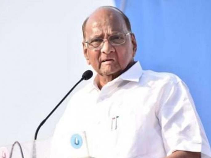 Sixteen thousand farmers commit suicide and loan waiver to rich: Sharad Pawar Vidhan Sabha Election 2019 | सोळा हजार शेतकरी आत्महत्या अन् कर्जमाफी श्रीमंतांना : शरद पवार Sixteen thousand farmers commit suicide and loan waiver to rich: Sharad Pawar Vidhan Sabha Election 2019 | सोळा हजार शेतकरी आत्महत्या अन् कर्जमाफी श्रीमंतांना : शरद पवार