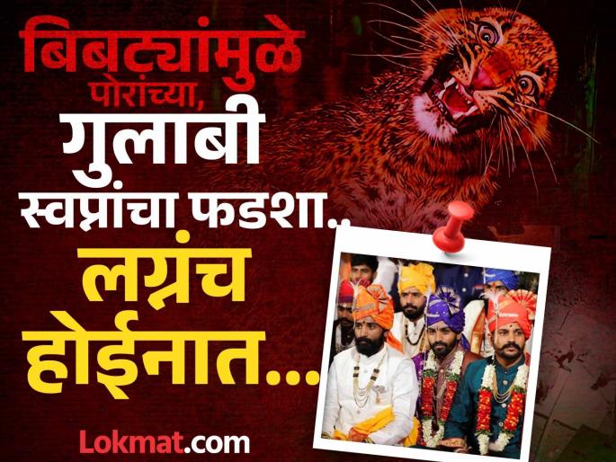 Leopard attack Parents are worried, while children are lost in their dreams of marriage; Weddings delayed due to fear of leopards | Leopard attack : लग्नाला आता बिबट्याचं विघ्न..! बिबट्यांमुळे पोरांची लग्नंच होईनात, वराच्या माता पित्यांना नवं टेंशन