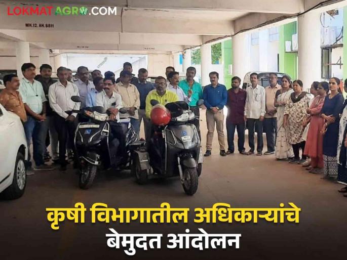 Agriculture Department: Strike of officers in the clerk cadre of the Agriculture Department! Work is interrupted | Agriculture Department : कृषी विभागातील लिपीक संवर्गातील अधिकाऱ्यांचे कामबंद आंदोलन! काम खोळंबले Agriculture Department: Strike of officers in the clerk cadre of the Agriculture Department! Work is interrupted | Agriculture Department : कृषी विभागातील लिपीक संवर्गातील अधिकाऱ्यांचे कामबंद आंदोलन! काम खोळंबले