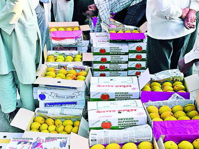 Arrival of mango from Sangli to demand for Gudi Padwa | महागाईच्या झुल्यावरून सांगलीत आंब्याचे आगमन, गुढीपाडव्यासाठी मागणी Arrival of mango from Sangli to demand for Gudi Padwa | महागाईच्या झुल्यावरून सांगलीत आंब्याचे आगमन, गुढीपाडव्यासाठी मागणी