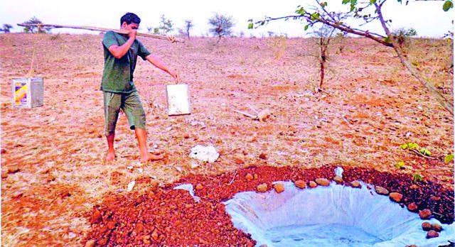 The struggle for 'wild' desires of wildlife | वन्यप्राण्यांची तृष्णा भागवण्याची ‘त्या’ची धडपड The struggle for 'wild' desires of wildlife | वन्यप्राण्यांची तृष्णा भागवण्याची ‘त्या’ची धडपड