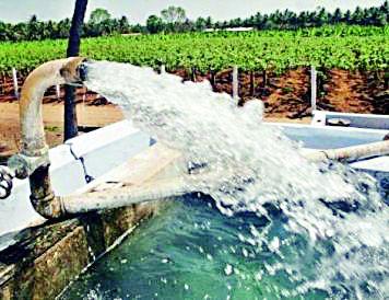 Oily in 2163 hectare areas | २१६३ हेक्टर क्षेत्रांवर ओलित