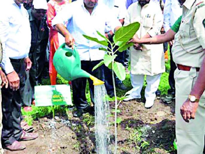 Start of 13 million tree plantation campaign | १३ कोटी वृक्ष लागवड मोहिमेला प्रारंभ Start of 13 million tree plantation campaign | १३ कोटी वृक्ष लागवड मोहिमेला प्रारंभ