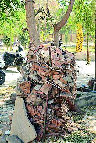 Forest Department 'fail' to protect sandalwood trees | चंदन झाडांच्या सुरक्षेत वनविभाग ‘फेल’