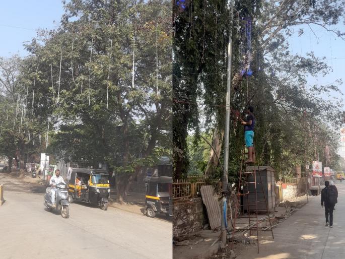 Due to the lighting of electric lamps, there is a fear of trees becoming unruly and accidents of vehicles | वीज दिव्यांच्या रोषणाईमुळे झाडे बेचिराख तर वाहनांचे अपघात होण्याची भिती Due to the lighting of electric lamps, there is a fear of trees becoming unruly and accidents of vehicles | वीज दिव्यांच्या रोषणाईमुळे झाडे बेचिराख तर वाहनांचे अपघात होण्याची भिती