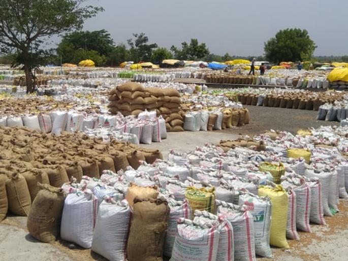 Farmer's farm in Majalgaon for grocery purchases | हरभरा खरेदीसाठी माजलगावात शेतकरी रस्त्यावर Farmer's farm in Majalgaon for grocery purchases | हरभरा खरेदीसाठी माजलगावात शेतकरी रस्त्यावर