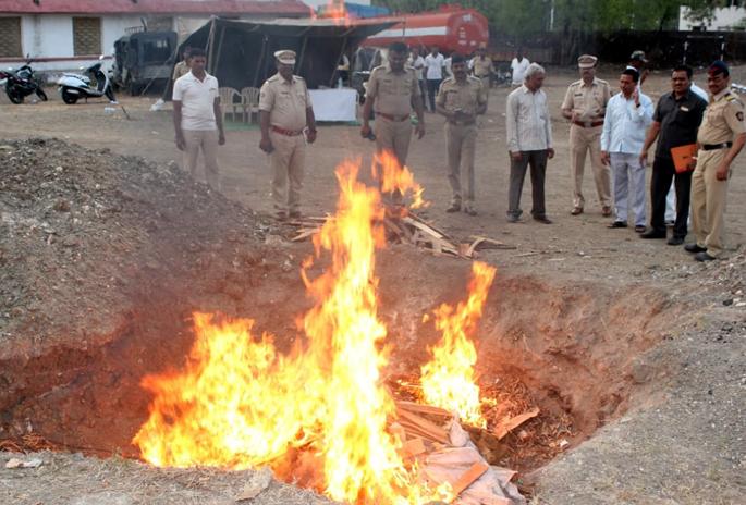 92 kg of Ganja destroyed in Beed | बीडमध्ये ९२ किलो गांजा नष्ट 92 kg of Ganja destroyed in Beed | बीडमध्ये ९२ किलो गांजा नष्ट