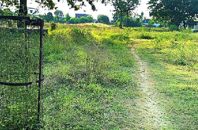 Project Green's one-and-a-half lakh rupees | भंडारा जिल्ह्यात प्रोजेक्ट ग्रीनचे दीड लक्ष रुपये मातीमोल