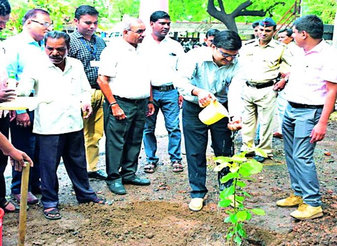 Tree planting should be a movement | वृक्ष लागवड ही चळवळ व्हावी