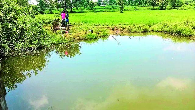 Increased farming irrigation in the 5500 hectare area of ​​33 villages | ३३ गावांत ५५०० हेक्टर क्षेत्रात वाढले शेती सिंचन