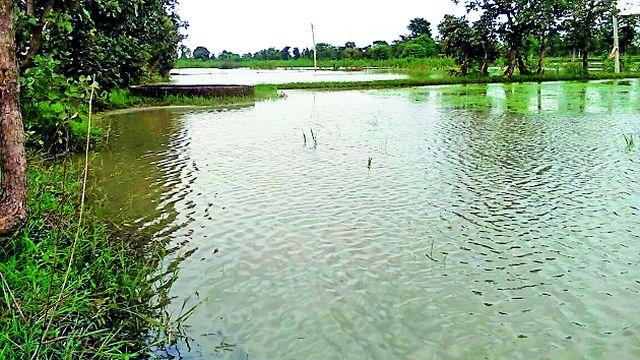 Transfer of 'Farming' Beneficiaries to Drought Farm | बुडीत शेतीचे 'सबळीकरण' लाभार्थ्यांना हस्तांतरण