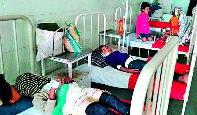 Poisoning due to the divisions of the moon | चंद्रज्योतीच्या बियांमुळे विषबाधा