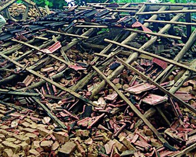 Four cow cows collapse in Dehgaon; | दहेगाव येथे गोठा कोसळून चार गाई दगावल्या Four cow cows collapse in Dehgaon; | दहेगाव येथे गोठा कोसळून चार गाई दगावल्या